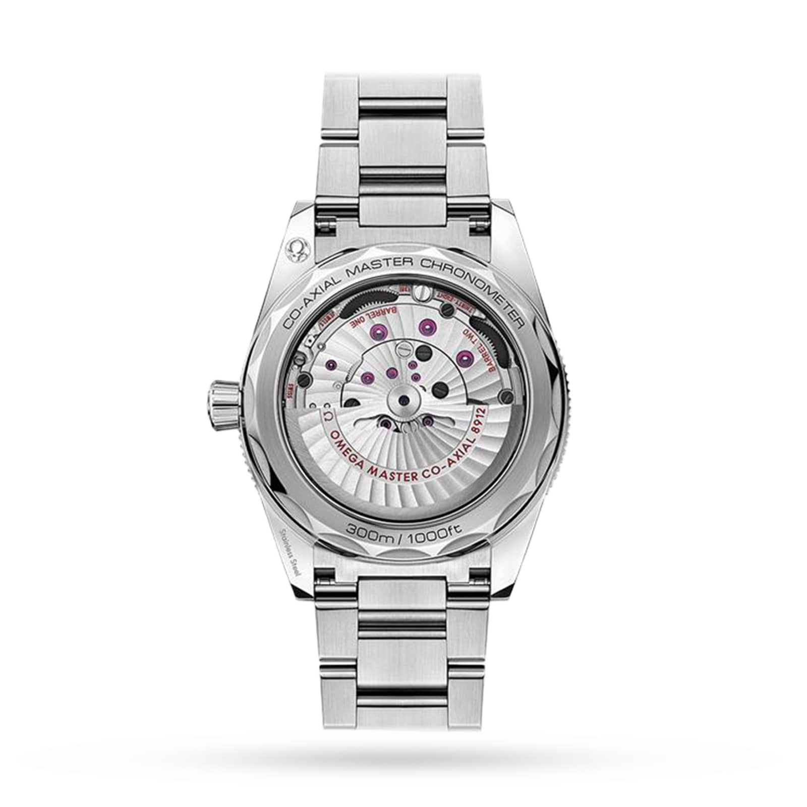 Omega Seamaster 300 Master Co?Axial Chronometer 41mm