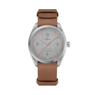 Omega Rail Master 40mm Mens Watch Grey