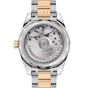 Omega Seamaster Aqua Terra Shades 34 Mm, Steel ‑ Moonshine™ Gold on Steel ‑ Moonshine™ Gold
