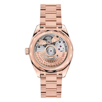 Omega Seamaster Aqua Terra Shades 34mm Ladies Watch Ivory