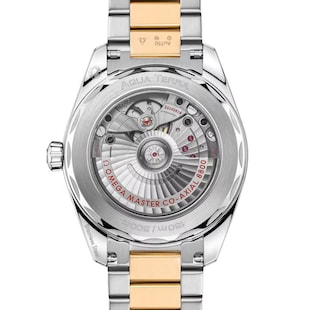 Omega Seamaster Aqua Terra Shades 38mm, Steel ‑ Moonshine™ Gold on Steel ‑ Moonshine™ Gold