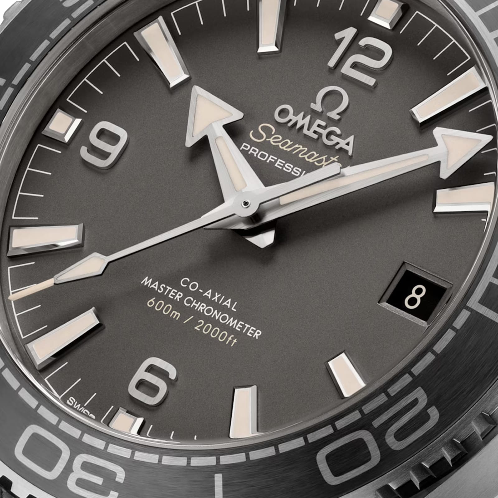 Omega Seamaster Planet Ocean 600M 43.5mm Mens Watch Grey