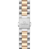 Omega Seamaster Aqua Terra 150M 38mm Unisex Watch Red
