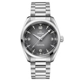 Omega Seamaster Railmaster 38mm Mens Watch Grey