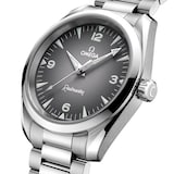 Omega Seamaster Railmaster 38mm Mens Watch Grey