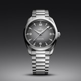 Omega Seamaster Railmaster 38mm Mens Watch Grey