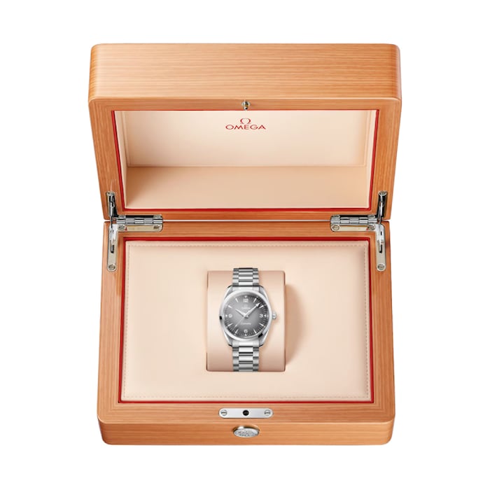 Omega Seamaster Railmaster 38mm Mens Watch Grey