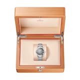 Omega Seamaster Railmaster 38mm Mens Watch Grey