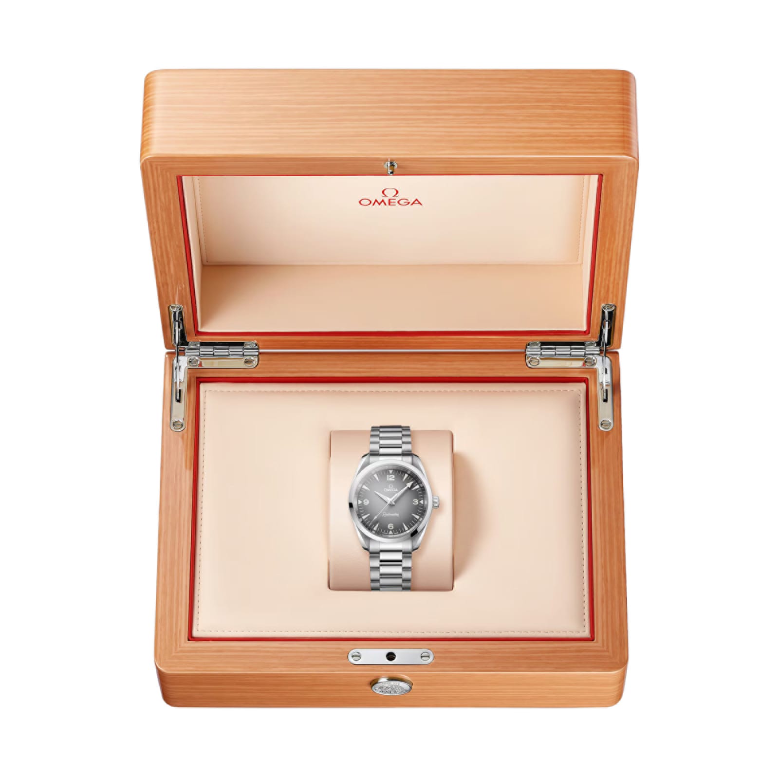 Omega Seamaster Railmaster 38mm Mens Watch Grey