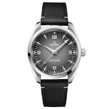 Omega Seamaster Railmaster 38mm Mens Watch Grey Leather