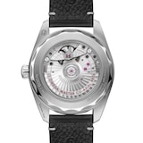 Omega Seamaster Railmaster 38mm Mens Watch Grey Leather