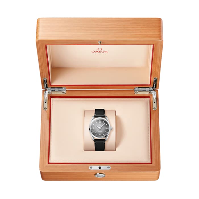 Omega Seamaster Railmaster 38mm Mens Watch Grey Leather