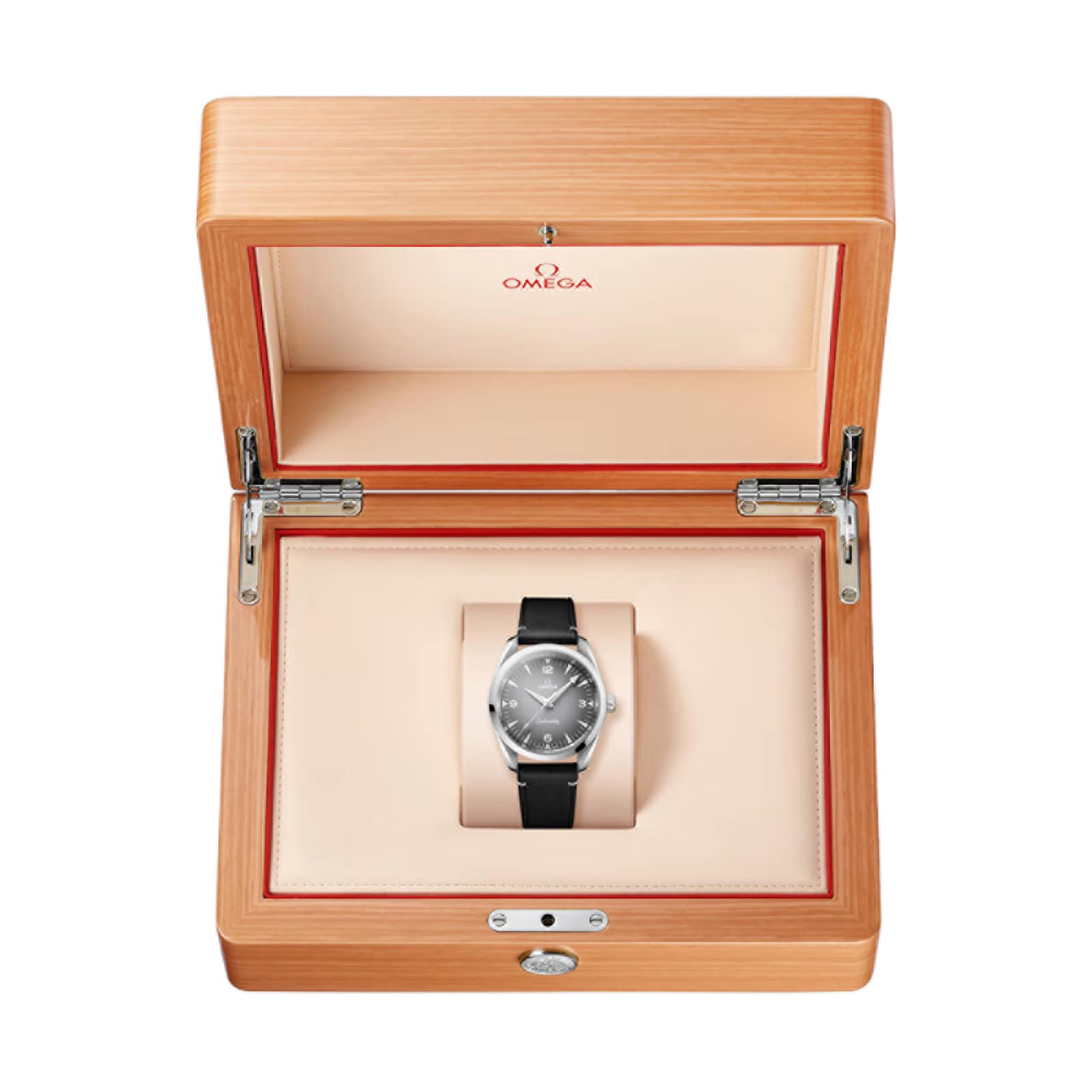 Omega Seamaster Railmaster 38mm Mens Watch Grey Leather