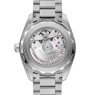 Omega Seamaster Railmaster 38mm Mens Watch Brown