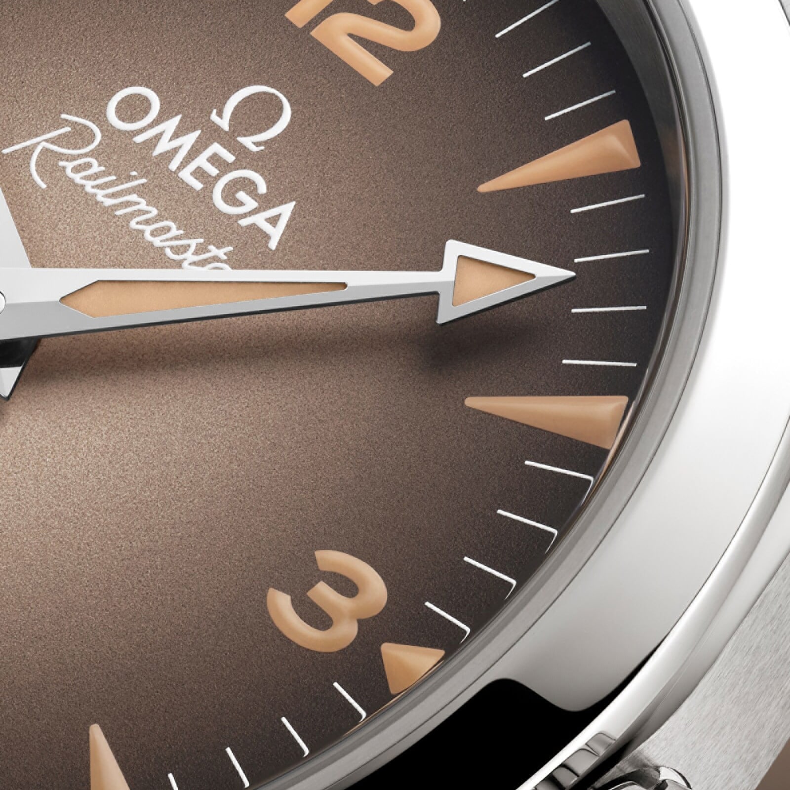 Omega Seamaster Railmaster 38mm Mens Watch Brown