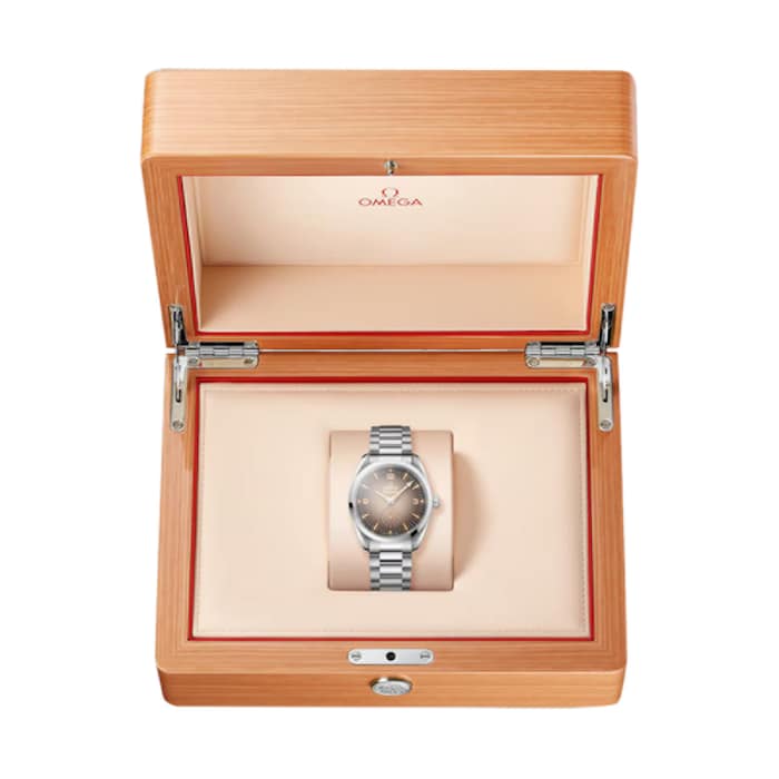 Omega Seamaster Railmaster 38mm Mens Watch Brown