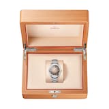 Omega Seamaster Railmaster 38mm Mens Watch Brown