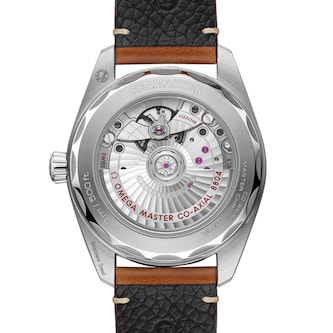 Omega Seamaster Railmaster 38mm Mens Watch Brown Leather