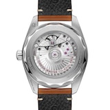 Omega Seamaster Railmaster 38mm Mens Watch Brown Leather