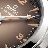 Omega Seamaster Railmaster 38mm Mens Watch Brown Leather