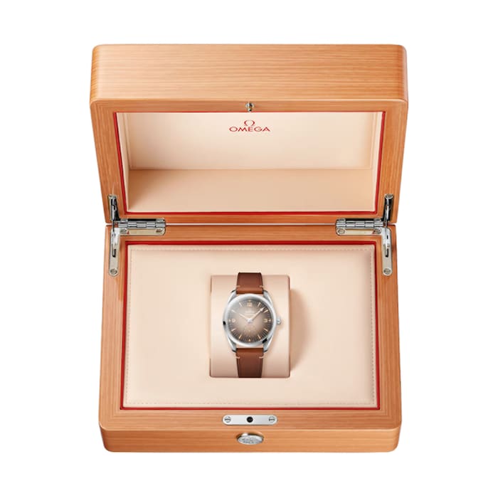 Omega Seamaster Railmaster 38mm Mens Watch Brown Leather