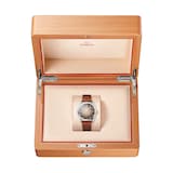 Omega Seamaster Railmaster 38mm Mens Watch Brown Leather