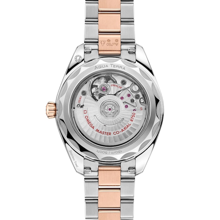 Omega Seamaster Aqua Terra 150M 30mm Ladies Watch Brown