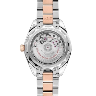Omega Seamaster Aqua Terra 150M 30mm Ladies Watch Brown