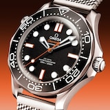 Omega Seamaster Diver 300 Automatic 42mm Mens Watch
