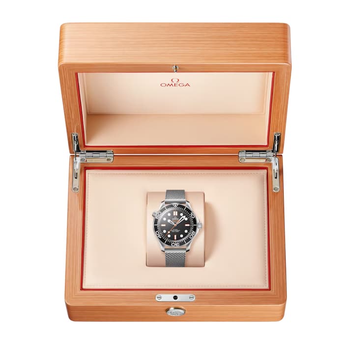 Omega Seamaster Diver 300 42mm Mens Watch