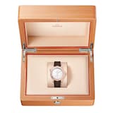 Omega Seamaster Diver 300 Automatic 42mm Mens Watch Rose Gold