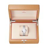 Omega Seamaster Aqua Terra 30mm Ladies Watch Mother of Pearl