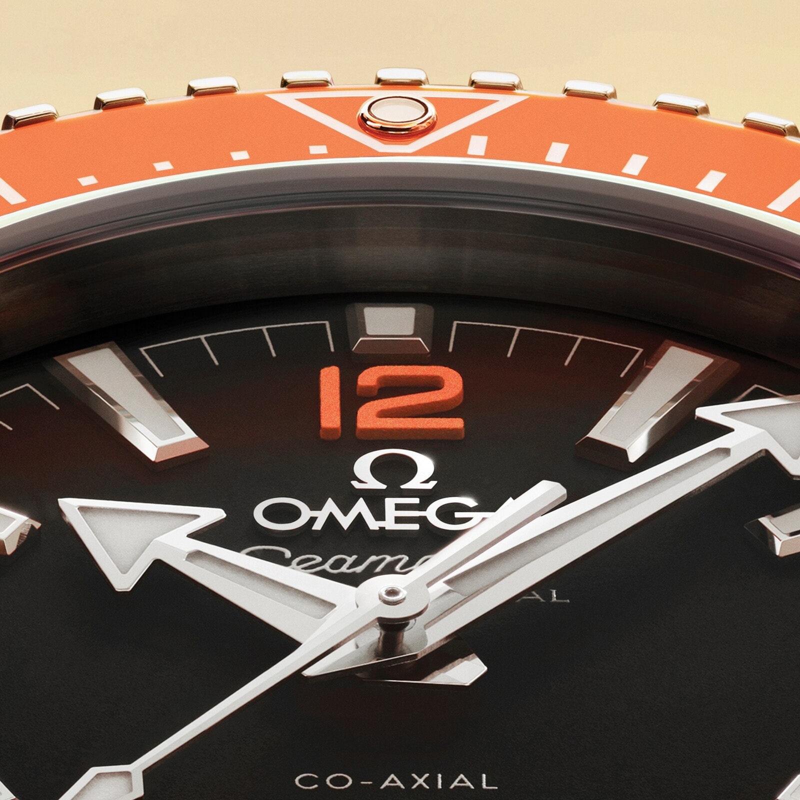 Omega Seamaster Planet Ocean 600M 42mm Mens Watch Stainless Steel