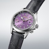 Seiko Prospex Prospex 145th Anniverary Alpinist Automatic Limited Edition 39.5mm Mens Watch Edo Purple