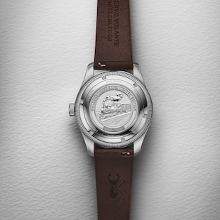 Oris Big Crown Waldenburgerbahn 40mm Mens Watch - Limited Edition