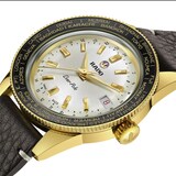Rado Captain Cook Over-Pole Limited Edition 39mm Unisex Watch