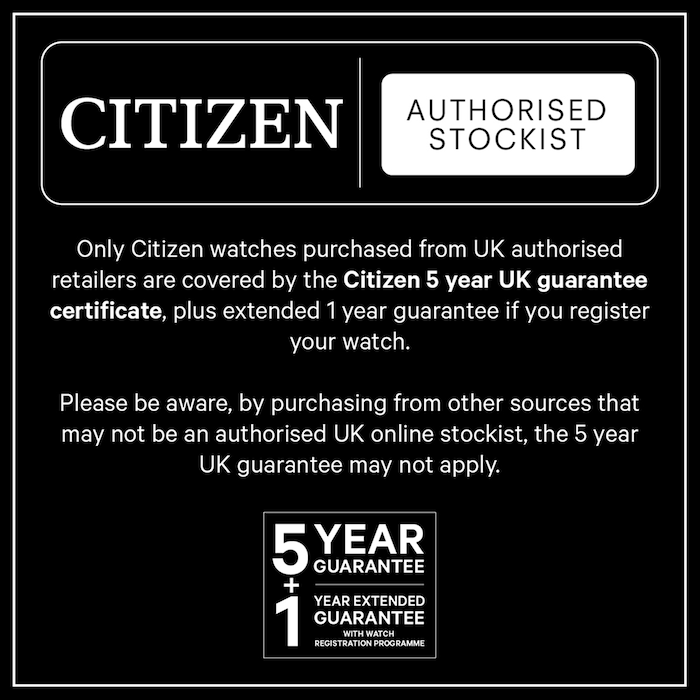 Citizen Mesh Bracelet Eco-Drive Mens Watch