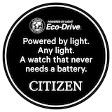 Citizen Mesh Bracelet Eco-Drive Mens Watch