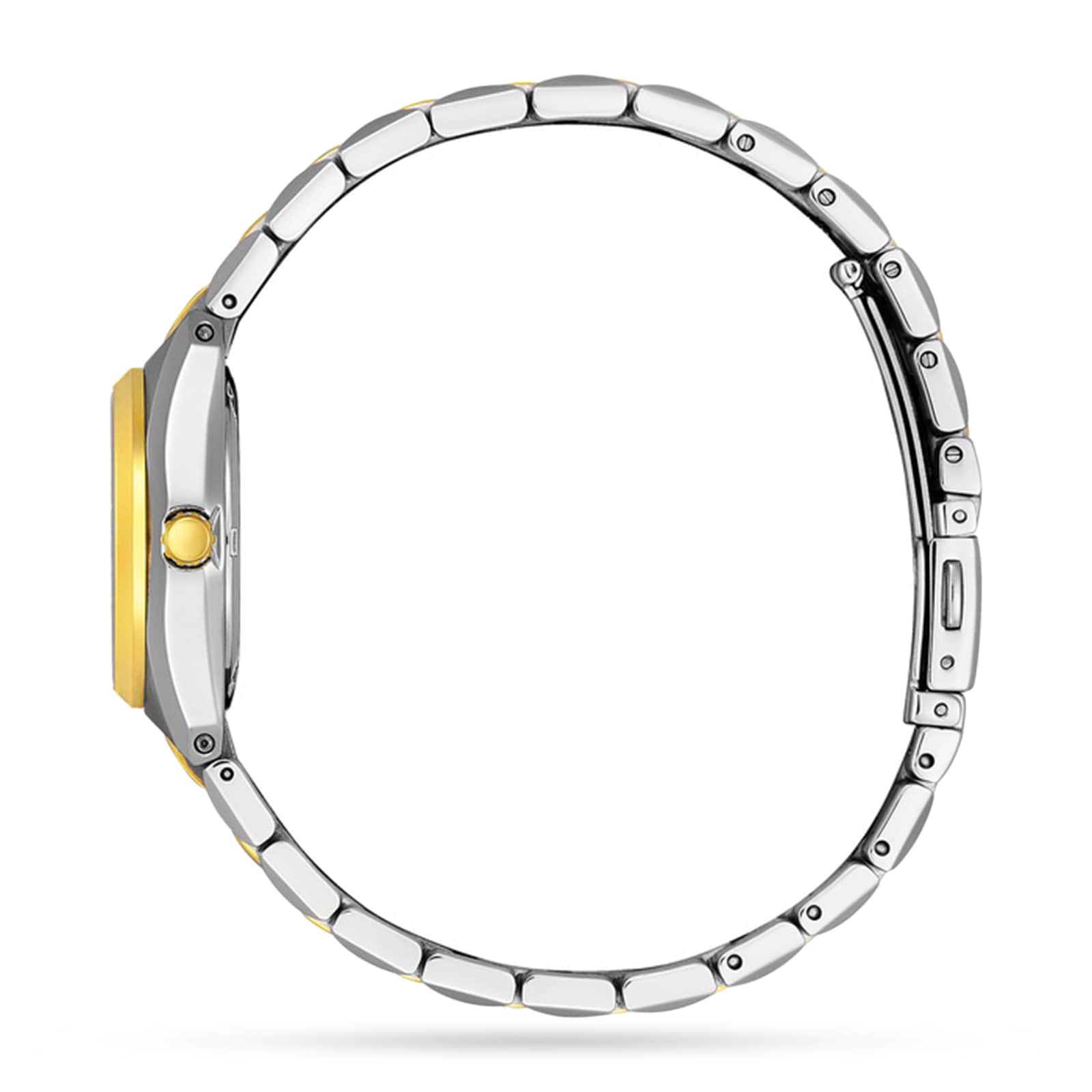 Citizen WR100 22mm Ladies Watch