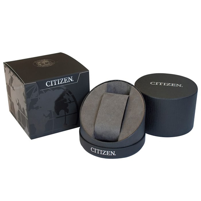 Citizen WR100 22mm Ladies Watch