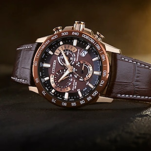 Citizen Perpetual Chrono A.T Mens Watch