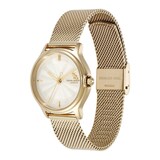 Olivia Burton Classic Bee 30mm Ladies Watch Gold