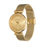 Olivia Burton Signature Minima Bee T Bar 36mm Ladies Watch Gold