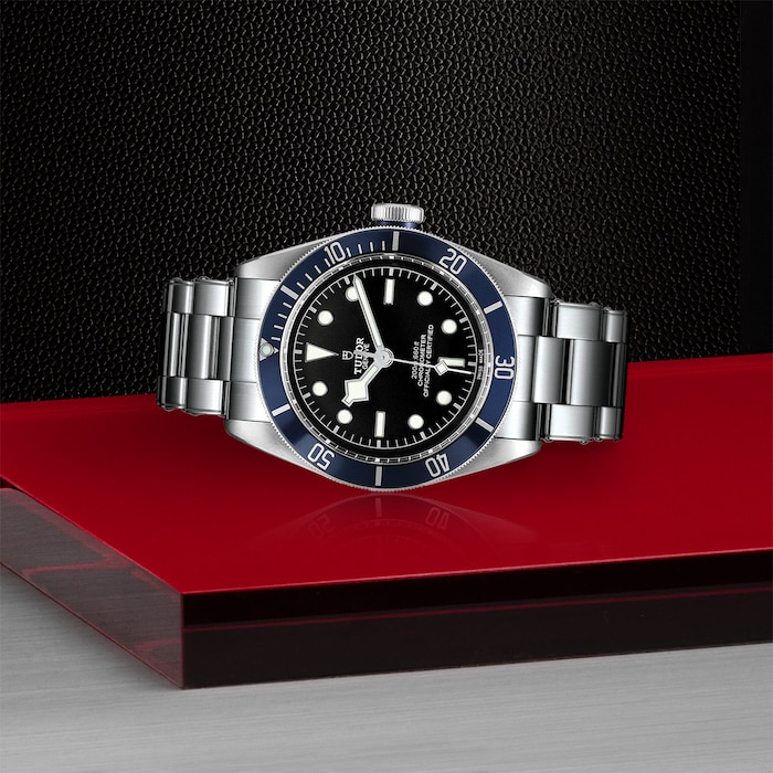 Tudor Black Bay