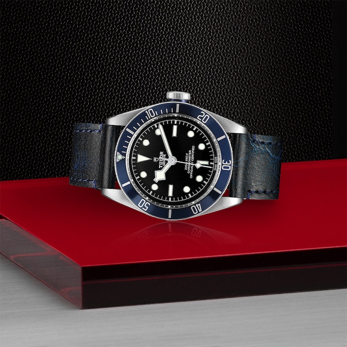 Tudor Black Bay