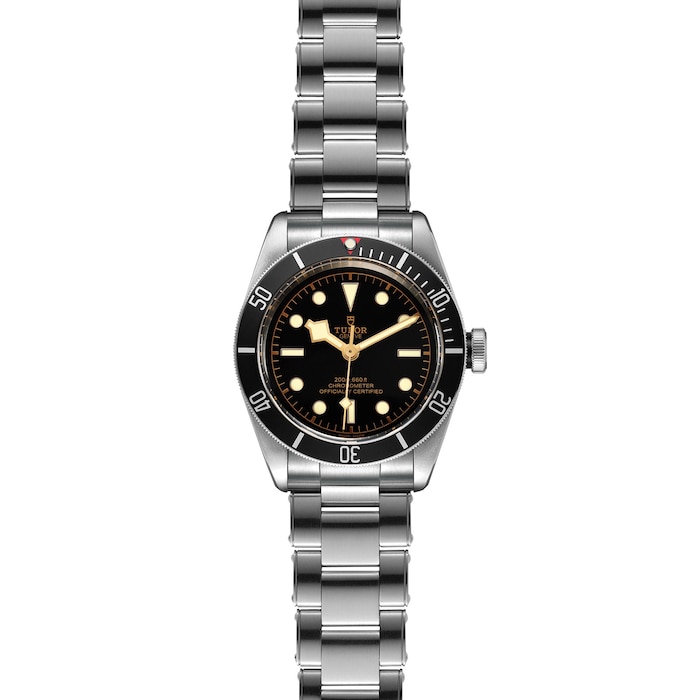 Tudor Black Bay