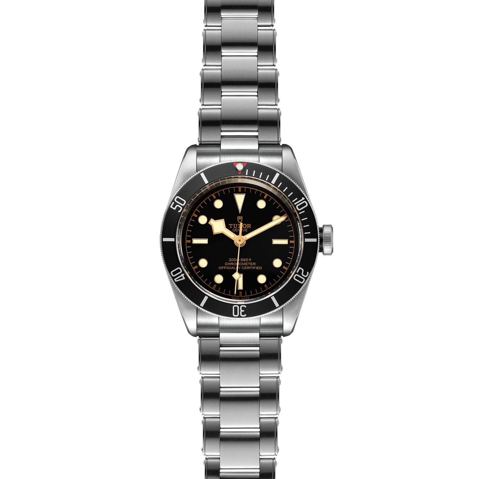 Tudor Black Bay