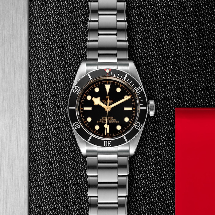 Tudor Black Bay