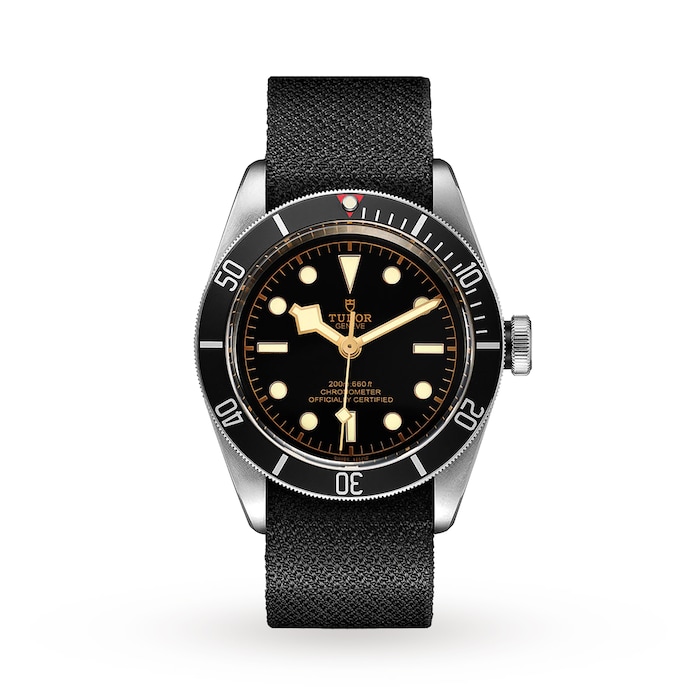 Tudor Black Bay