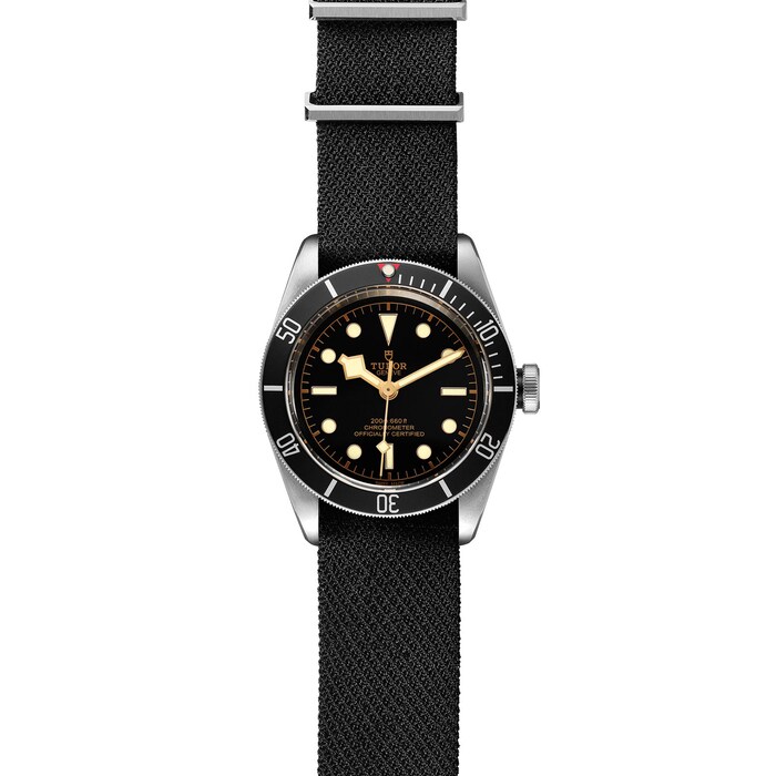 Tudor Black Bay